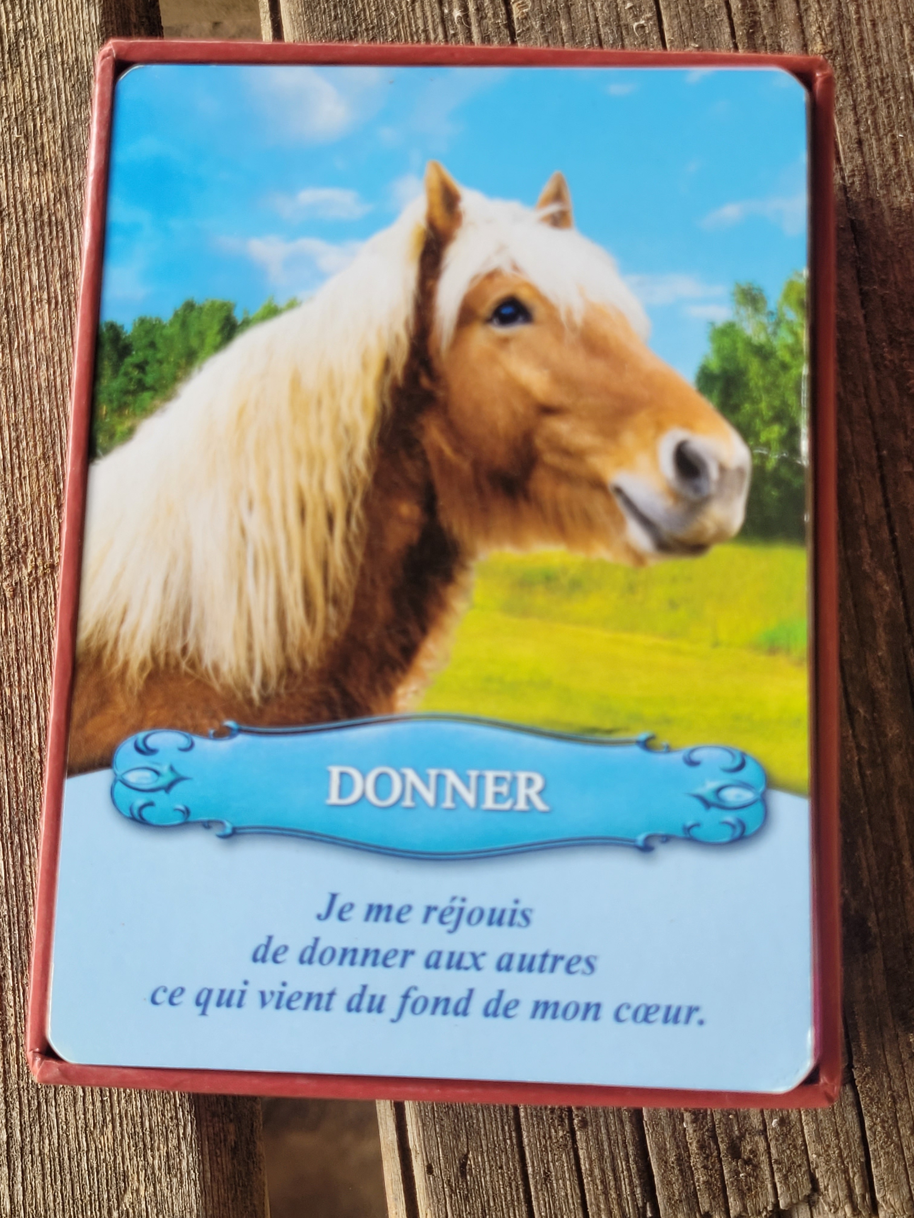 Carte de début de séance
