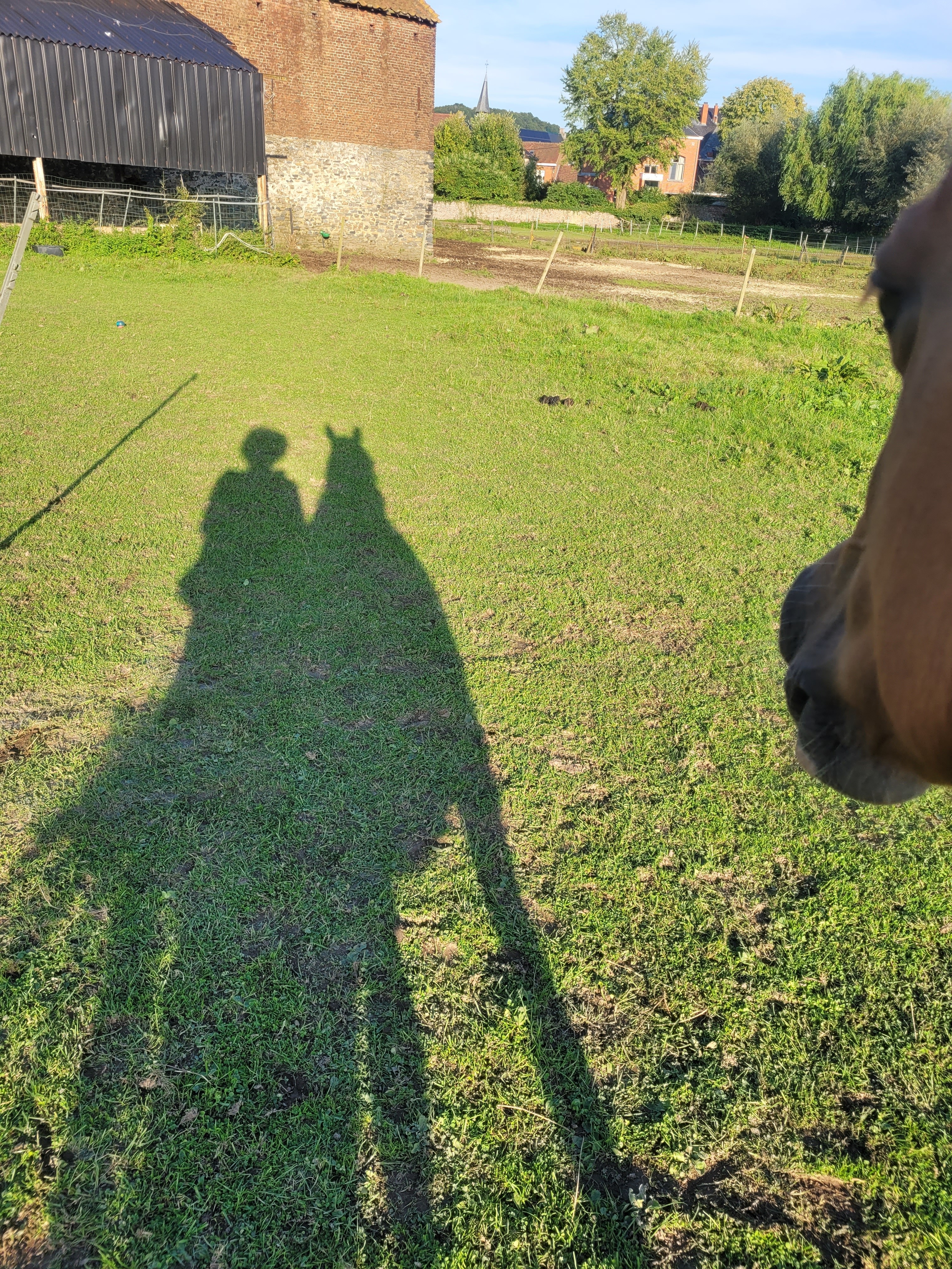 Ombres