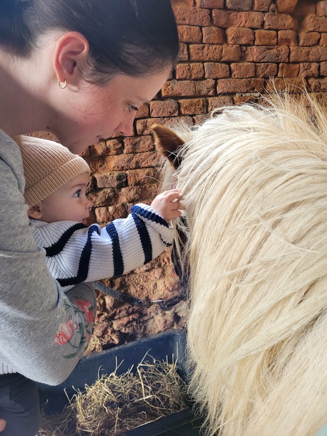 Baby poney Charline 