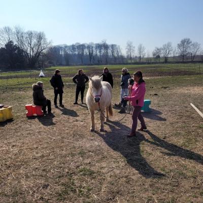 Equicoaching groupe