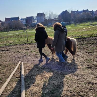 Equicoaching groupe