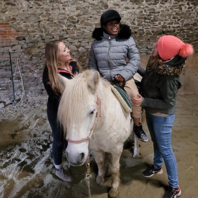 hippothérapie groupe