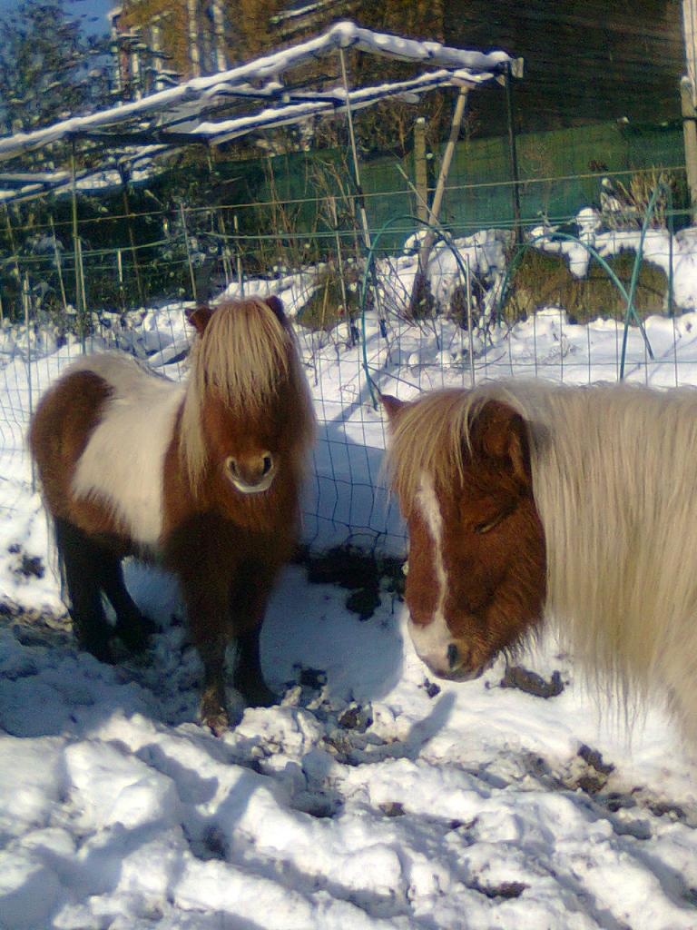 photo2002_001